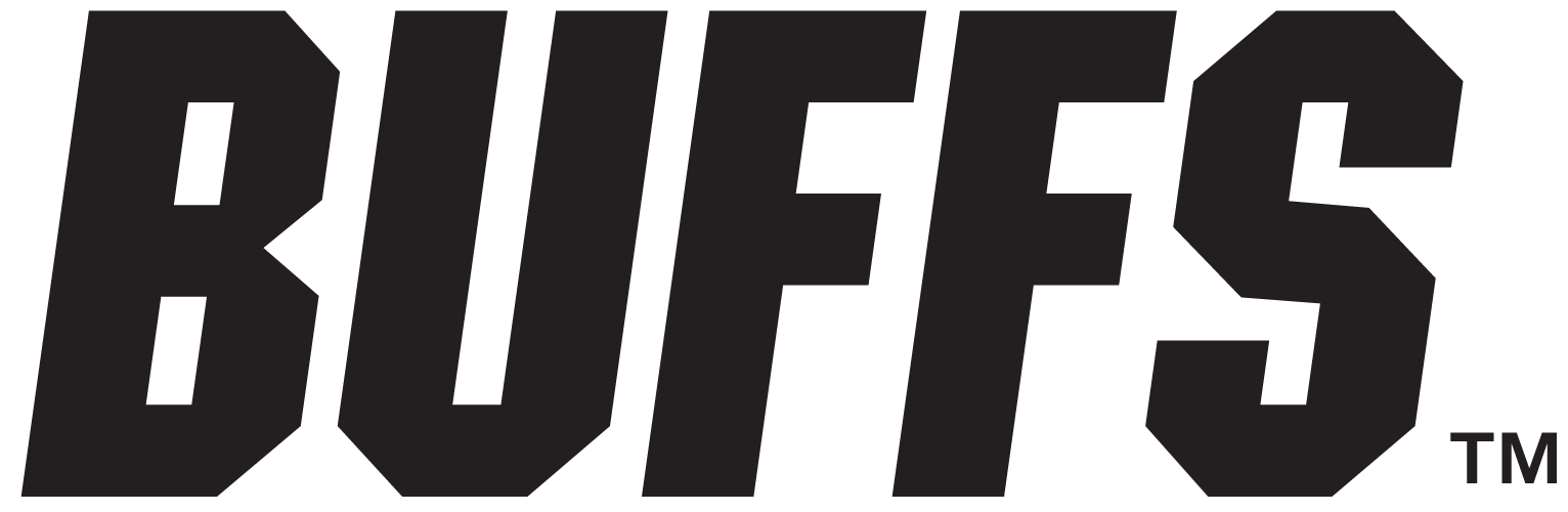 Colorado Buffaloes 2006-Pres Wordmark Logo iron on transfers for clothing
